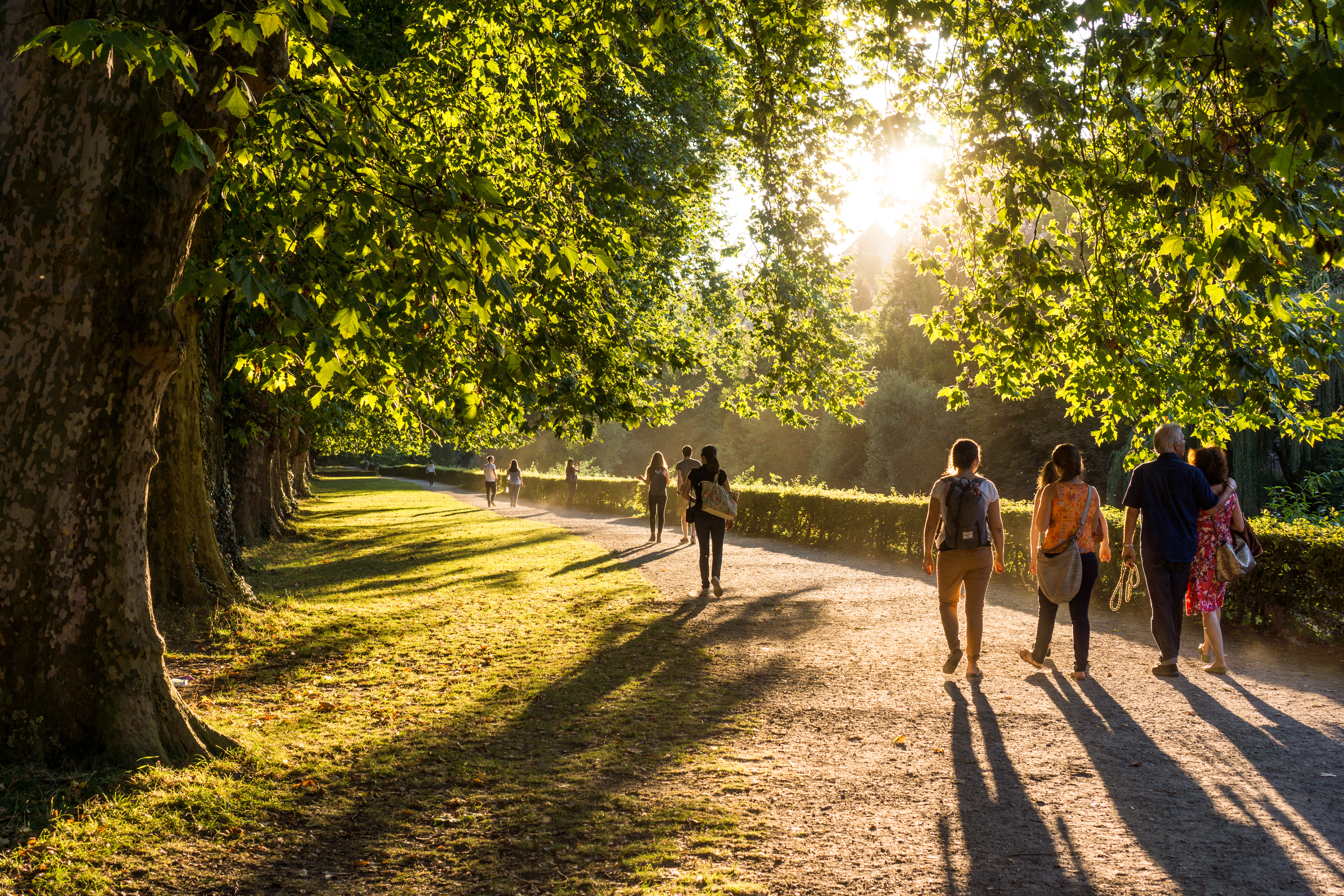 Walking in a park