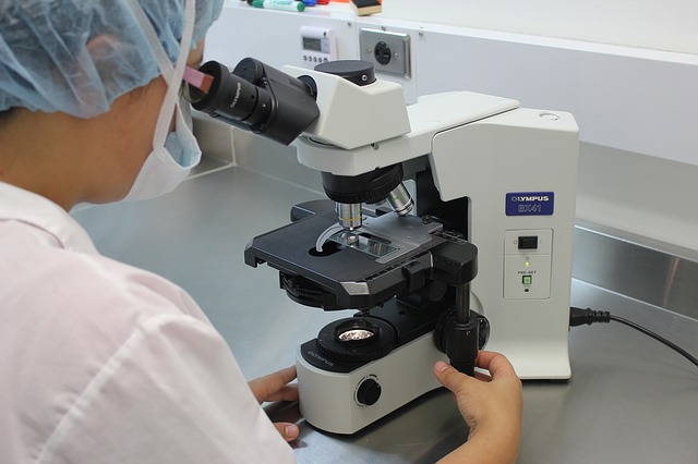 Using a microscope
